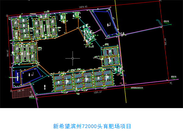 萬頭規(guī)?；署B(yǎng)豬場設計圖