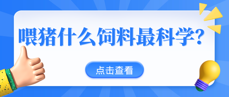 干料飼喂、粥料飼喂、液態(tài)飼喂，不同飼喂模式的效益成本分析