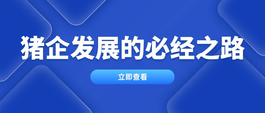 粥料喂養(yǎng)——豬企發(fā)展的必經(jīng)之路