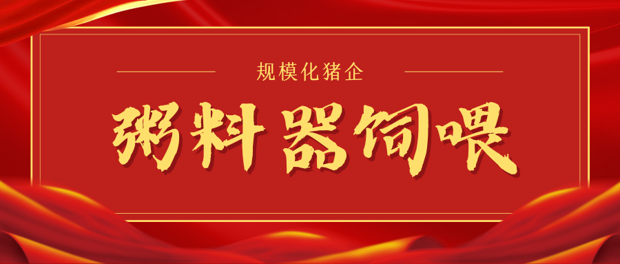 為什么粥料器喂養(yǎng)更適合大多數(shù)規(guī)模化豬企