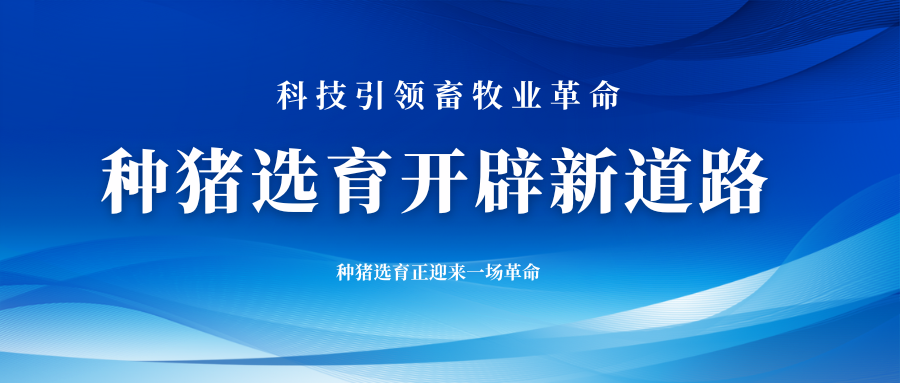 科技引領(lǐng)畜牧業(yè)革命：種豬選育開辟新道路 ?