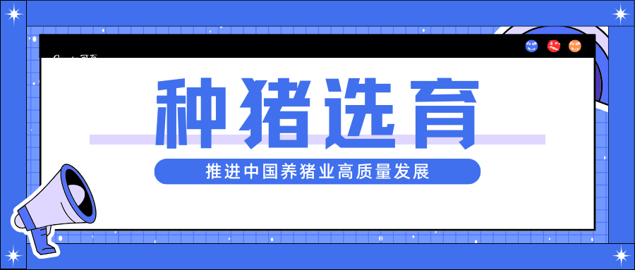 種豬選育：推進中國養(yǎng)豬業(yè)高質(zhì)量發(fā)展