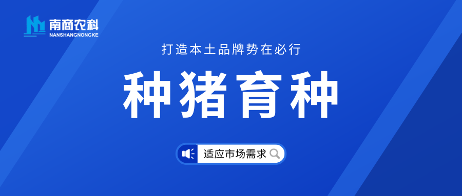 種豬育種與本土品牌建設(shè)：市場(chǎng)需求是重中之重